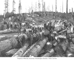 Logging crew on cold deck, with hats on, including one Asian worker and one African-American worker, Walville Lumber Company, ca. 1919