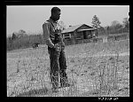 Negro tenant farmer who had to move out of the Santee-Cooper basin. Near Bonneau, South Carolina