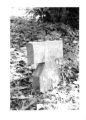 Mt. Olivet Cemetery: tombstone of Mary Harris