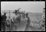 [Untitled photo, possibly related to: Negro cotton pickers on truck, Lake Dick, Arkansas]