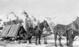 Thumbnail for A Bar A Ranch, Encampment, Wyo