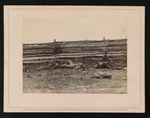 View in the field, on the west side of the Hagerstown Road, after the Battle of Antietam