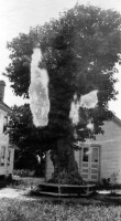 Primary buildings. Orange County Training School. Seat built by farm shop students holds or seats (30) children