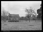 Negro shack near Summerville, South Carolina