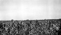 Manassas Agricultural school. Views of agricultural plots. First agricultural school built in the state of Virginia. Never used as an agricultural school. Used for primary grades and teacher training courses