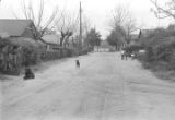 Dogs and children on a dirt road in a neighborhood.