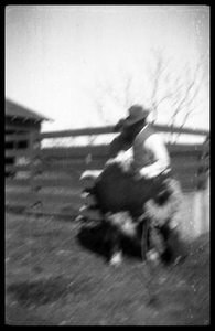 Blurred Man and Toddler with a Calf