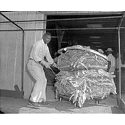 Moving tobacco