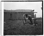 [Cannon and cabin at Chickamauga and Chattanooga National Military Park]