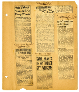 Articles from various newspapers: clippings