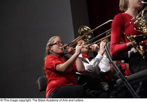 Orchestra Members Performing