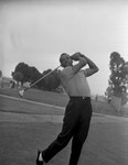 Golfer, Los Angeles, 1962