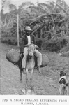 A Negro peasant returning from market, Jamaica