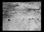 [Untitled photo, possibly related to: Negroes' graveyard. Macon County, Alabama]