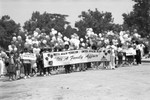 Health organizations, Los Angeles, 1989