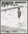 Portage Park (0147) Activities - Sports - Swimming, 1979-08-01