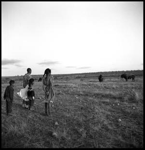 Children Watching Bison