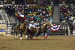 Bull-dogging at the Martin Luther King, Jr., African-American Heritage Rodeo, one of the National Western Stock Show events in Denver, Colorado