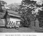 Dans la région des forêts