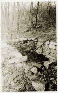 Stone Foundation in the Woods near Storer College, Harpers Ferry, W. Va.