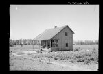 Shack of Negro sharecropper. West Memphis, Arkansas