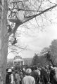 Man sitting on a tree branch above the crowd on the campus of Morehouse College during a funeral service for Martin Luther King, Jr.