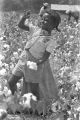 Little girl picking cotton in the field of Mrs. Minnie B. Guice near Mount Meigs in Montgomery County, Alabama.