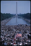 [View from the steps of the Lincoln Memorial of crowds of people, some with American flags, during the1963 March on Washington for Jobs and Freedom]