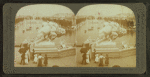 Grand Basin from an Hill. Louisiana Purchase Exposition, St. Louis