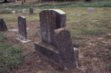 Mt. Olivet Cemetery: tree of life marker