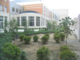 2004 Central Library