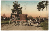 Old Joe and his Cart, Pinehurst, N.C.