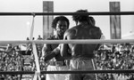 Mike Weaver and Michael Dokes in the boxing ring, Las Vegas, 1983