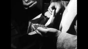 News Clip: Police raids