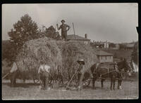 Agricultural Department, Farm Workers, circa 1900