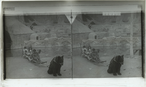 St. Louis fair, Caption no. 1511 : stereoscopic interpositive.