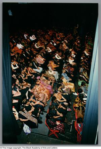 Photograph of a crowd of audience members