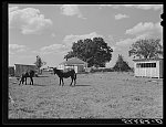 [Untitled photo, possibly related to: New home of Cube Walker, Negro tenant purchase client. Belzoni, Mississippi Delta, Mississippi]