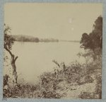 View on Savannah River