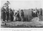 A practical field lesson in Agriculture being given to Negro farmers in Alabama by the Farmers' Institute of Tuskegee