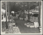 Assembly Street, peaches and tomatoes under shed, 1946