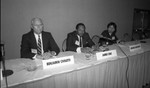 American Bar Association meeting panelist speaking, Los Angeles, 1990