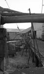 View of cotton processing building and African American employees