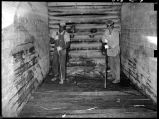 Ripping up old flooring in box car-Havelock, Nebraska