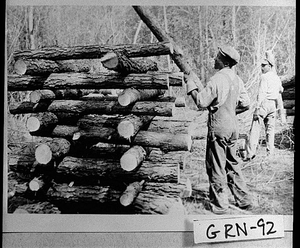 Photograph of an African-American man stacking logs of timber, Greene County, Georgia, 1950 or 1951