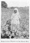 Agricultural peasant of the black belt