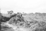 Colombia, road on west side of Hacienda San José de Bella Vista in Antioquia department