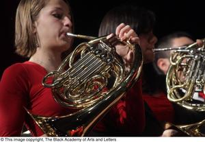 Orchestra Members Performing