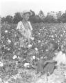 Two African-American children in a cotton field near Henderson, Tennessee.