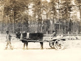 African Americans going to a water mill in an ox-drawn cart in Monroe County.